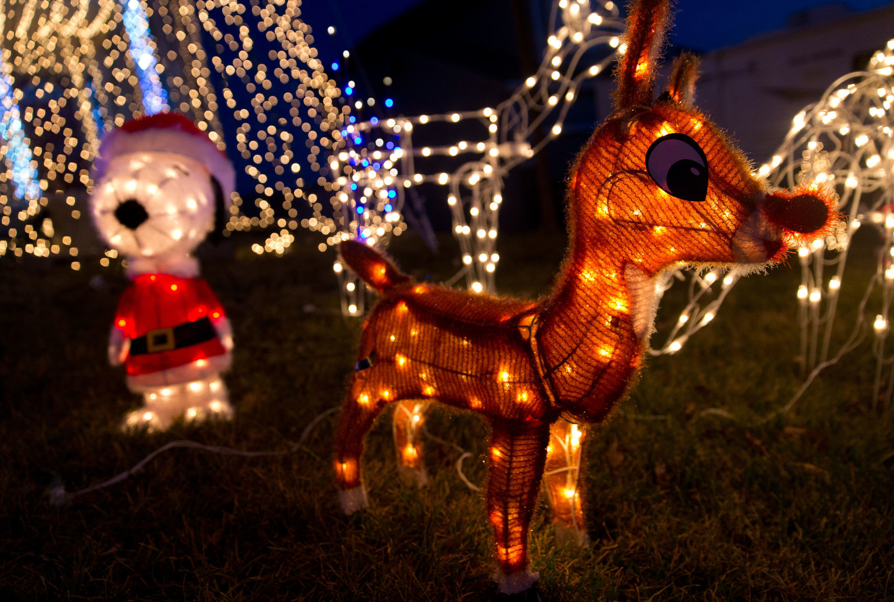 Christmas lights on display at 14205 Tregaron Drive in Bellevue.